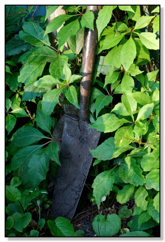 Made of Metal, Still Life, Garden, backyard, Chris Bates Photography, Red Deer, Alberta, Canada