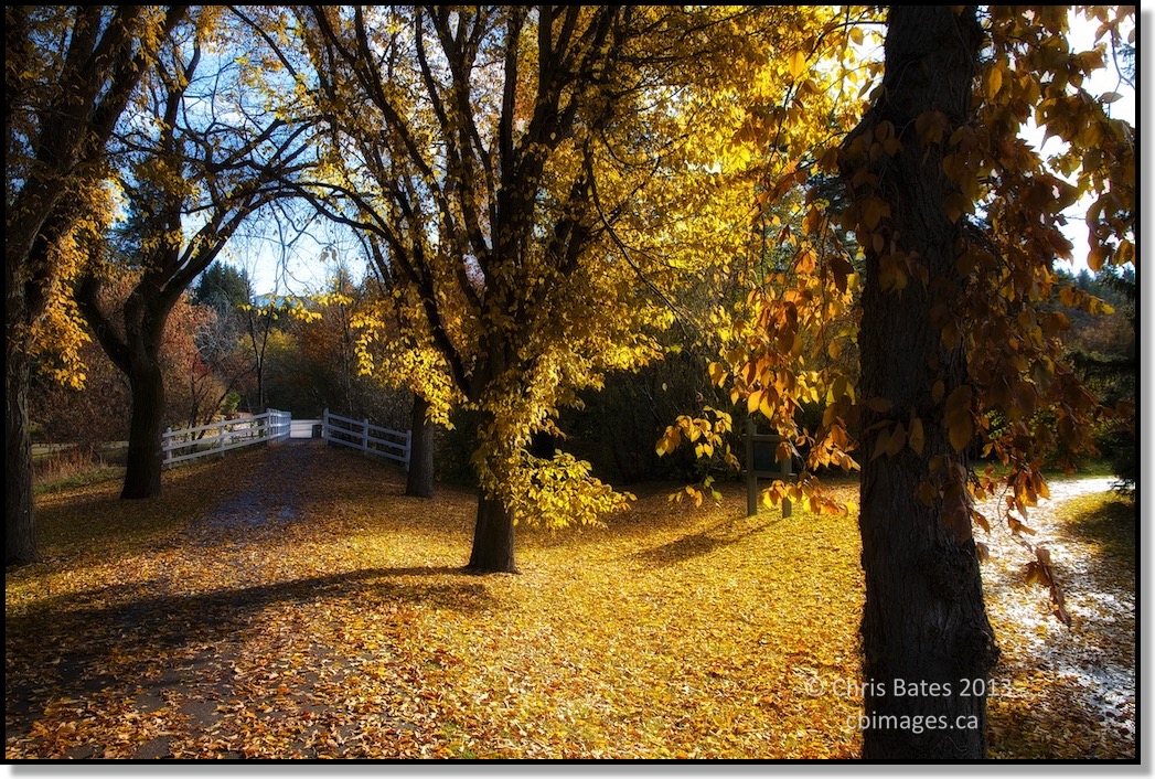 Confederation Park Fall 2013