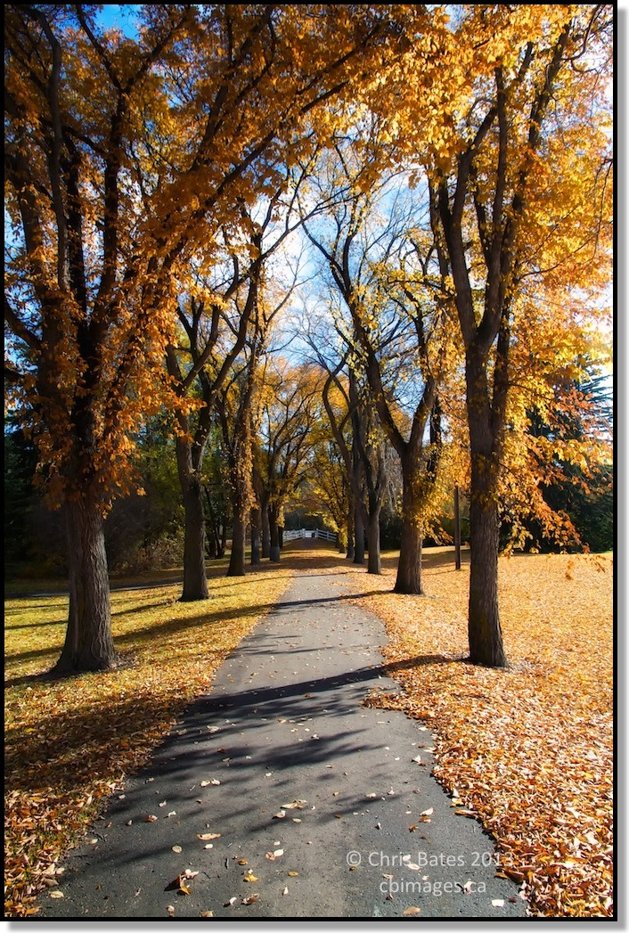 Confederation Park Path Fall 2013