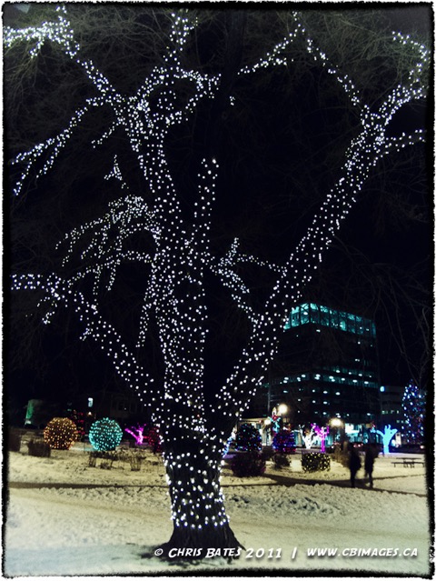 Christmas, Alberta, Canada, Red Deer, Lights, City Hall