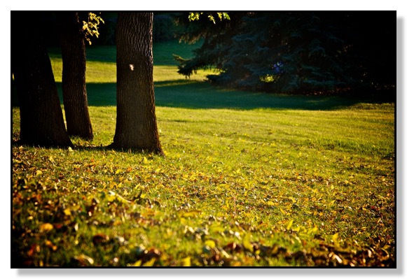 Chris Bates Photography Red Deer Alberta Canada nature fall