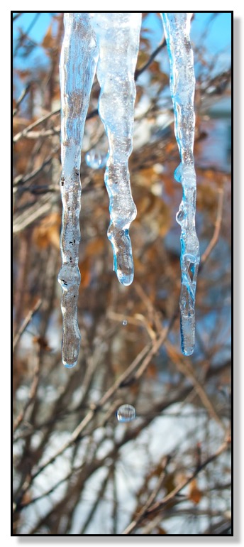 ice, icicle, melt, water droplet, winter
