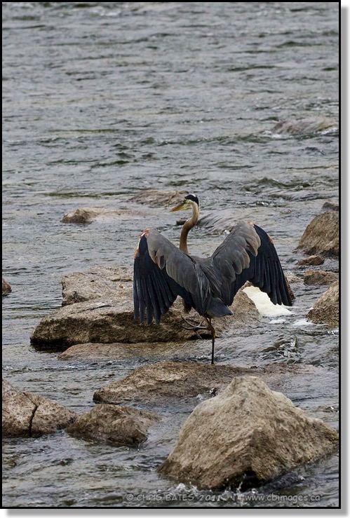 Water, Youngs Point, Ontario, fishing, Tai Chi