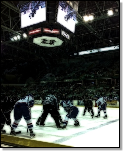 hockey, Red Deer Rebales, Western Hockey League, Regina Pats, Red Deer Centrium, winter, sports